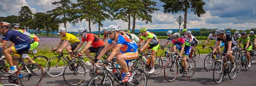 Balaton Maraton 2025 Siófok - Balatoni Hírek