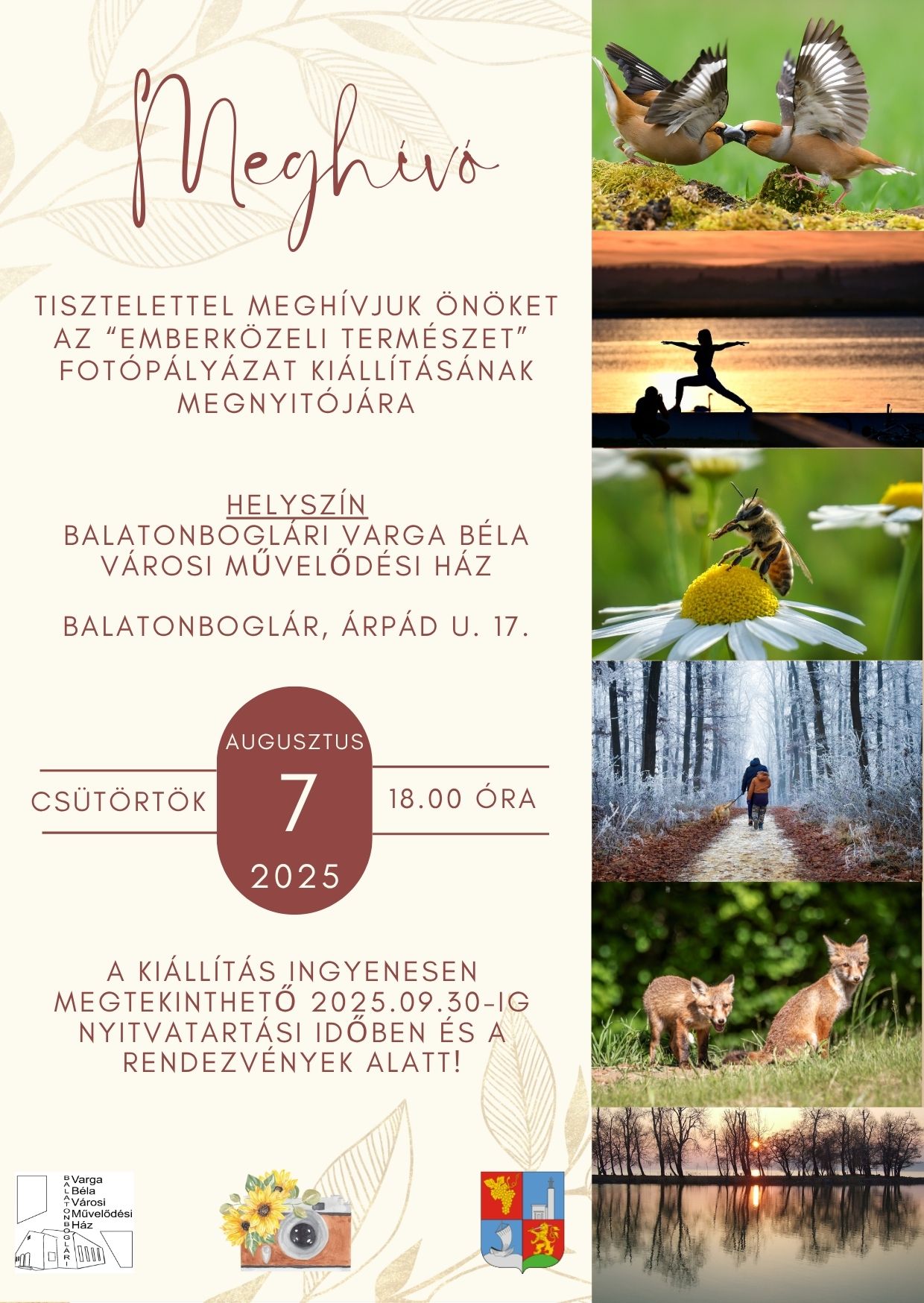 Emberközeli természet – fotókiállítás Balatonbogláron