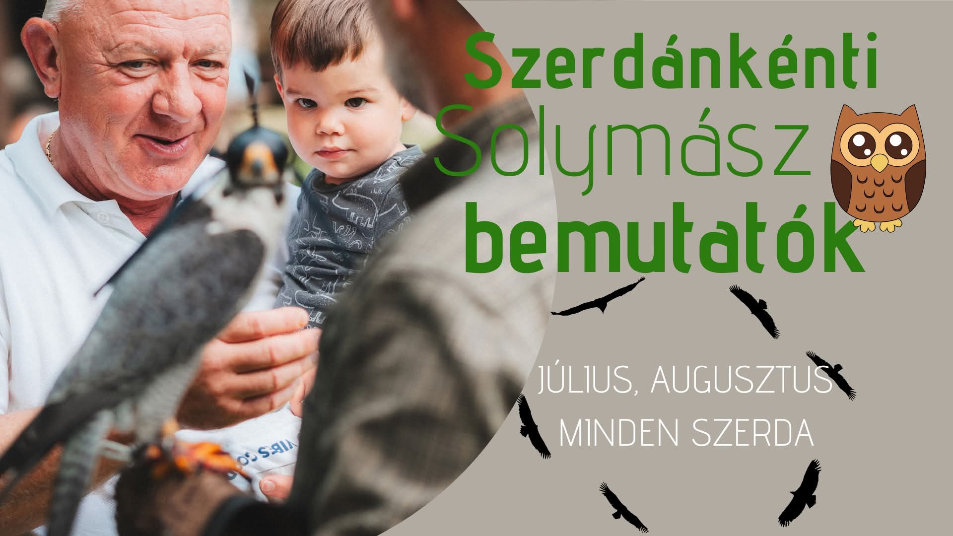 Szerdánkénti Solymászbemutatók – 2025 nyara